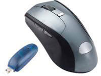 Sansun SN-248L